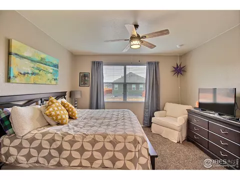 932 Charlton Dr, Windsor, CO 80550 photo 23