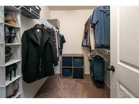 314 Shadowbrook Dr, Windsor, CO 80550 photo 18