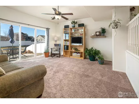 314 Shadowbrook Dr, Windsor, CO 80550 photo 25