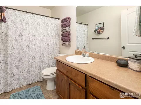314 Shadowbrook Dr, Windsor, CO 80550 photo 21