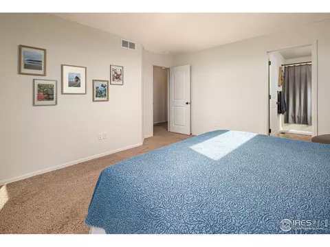 314 Shadowbrook Dr, Windsor, CO 80550 photo 16