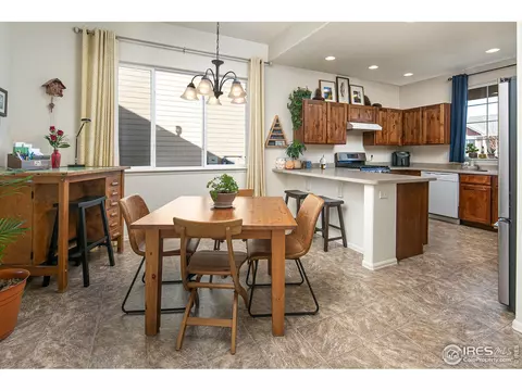 314 Shadowbrook Dr, Windsor, CO 80550 photo 11