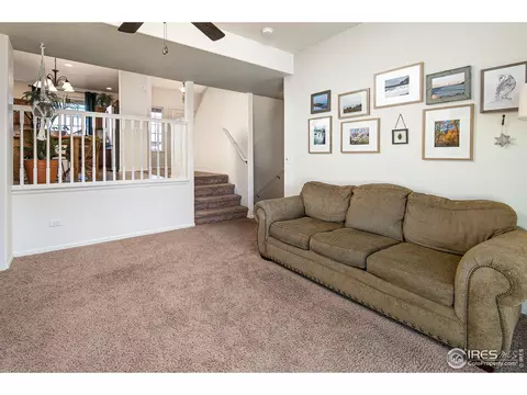314 Shadowbrook Dr, Windsor, CO 80550 photo 26