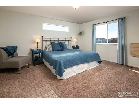 314 Shadowbrook Dr, Windsor, CO 80550 photo 15