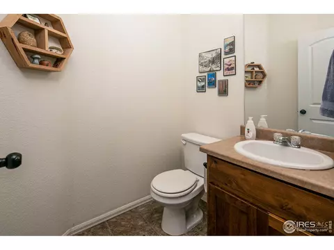 314 Shadowbrook Dr, Windsor, CO 80550 photo 27