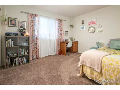 314 Shadowbrook Dr, Windsor, CO 80550 photo 19