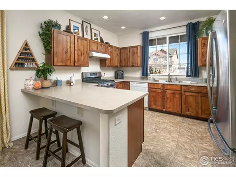 314 Shadowbrook Dr, Windsor, CO 80550 photo 12