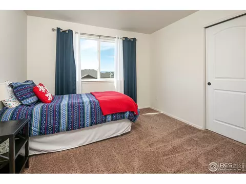 314 Shadowbrook Dr, Windsor, CO 80550 photo 24