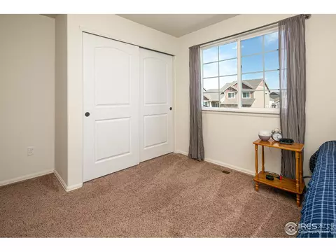 314 Shadowbrook Dr, Windsor, CO 80550 photo 23