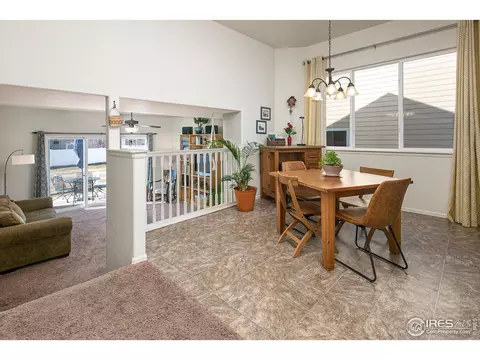 314 Shadowbrook Dr, Windsor, CO 80550 photo 10