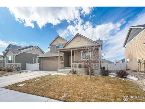 314 Shadowbrook Dr, Windsor, CO 80550 photo 4