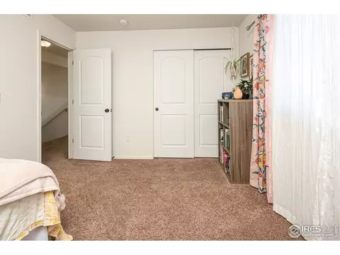 314 Shadowbrook Dr, Windsor, CO 80550 photo 20