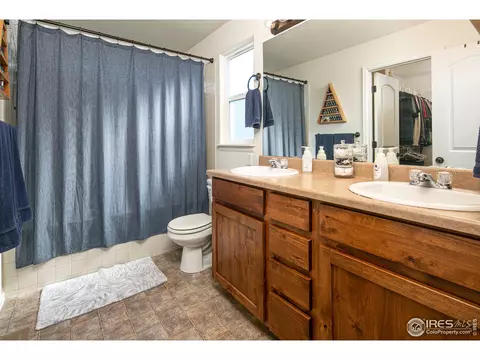 314 Shadowbrook Dr, Windsor, CO 80550 photo 17