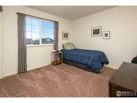 314 Shadowbrook Dr, Windsor, CO 80550 photo 22