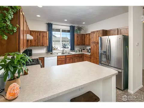 314 Shadowbrook Dr, Windsor, CO 80550 photo 13