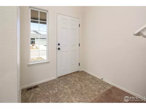 314 Shadowbrook Dr, Windsor, CO 80550 photo 29