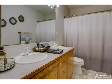 308 Teal Ct, Windsor, CO 80550 photo 23