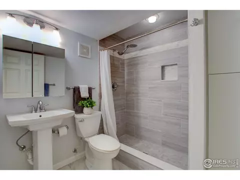 308 Teal Ct, Windsor, CO 80550 photo 27