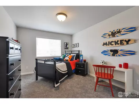644 E Michigan Ave, Berthoud, CO 80513 photo 32