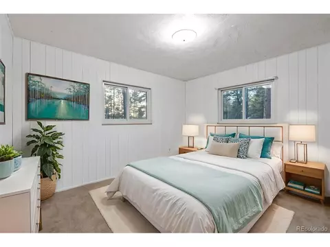 832 Spring Valley Dr, Divide, CO 80814 photo 4