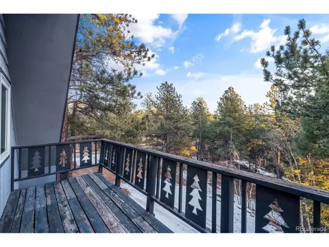 832 Spring Valley Dr, Divide, CO 80814 photo 39