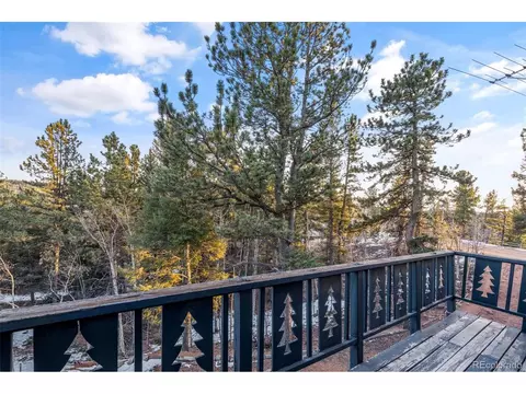 832 Spring Valley Dr, Divide, CO 80814 photo 38