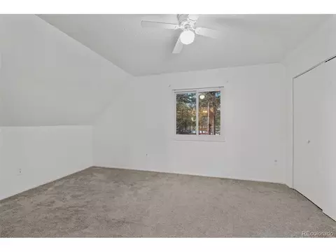 832 Spring Valley Dr, Divide, CO 80814 photo 27