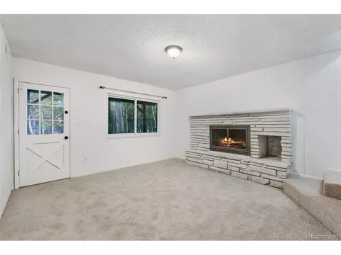 832 Spring Valley Dr, Divide, CO 80814 photo 30