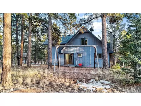 832 Spring Valley Dr, Divide, CO 80814 photo 49