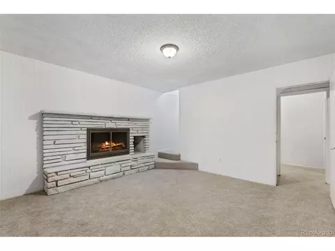 832 Spring Valley Dr, Divide, CO 80814 photo 31