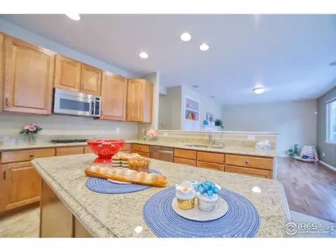 2614 E 137th Pl, Thornton, CO 80602 photo 14