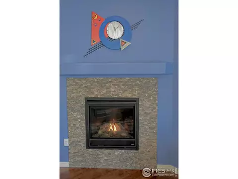 2724 E 162nd Dr, Thornton, CO 80602 photo 8