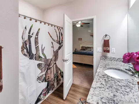7217 Shavano Ave, Frederick, CO 80504 photo 18