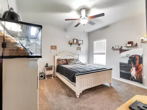 7217 Shavano Ave, Frederick, CO 80504 photo 13