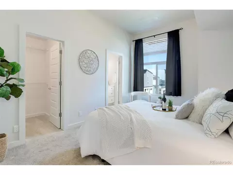 9180 E 52nd Dr, Denver, CO 80238 photo 18
