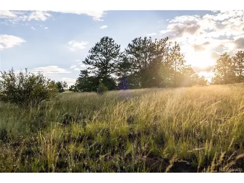 455 Guipago Trl, Hartsel, CO 80449