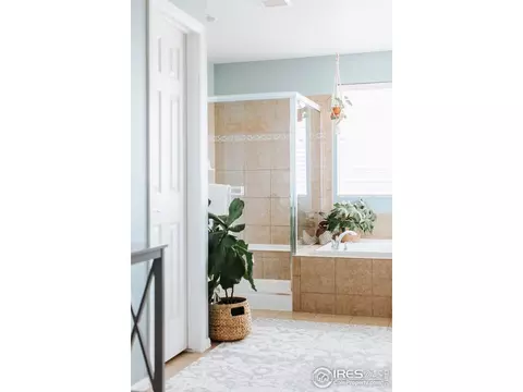 5592 Calgary St, Timnath, CO 80547 photo 23