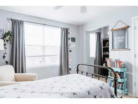 5592 Calgary St, Timnath, CO 80547 photo 28