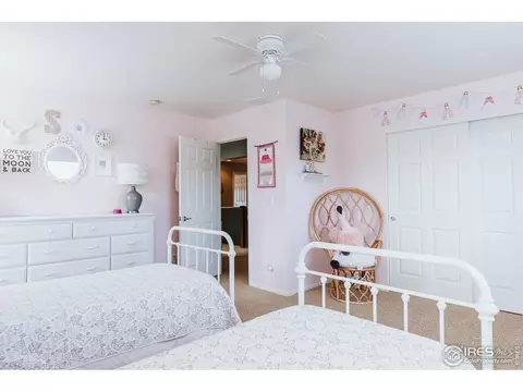 5592 Calgary St, Timnath, CO 80547 photo 25