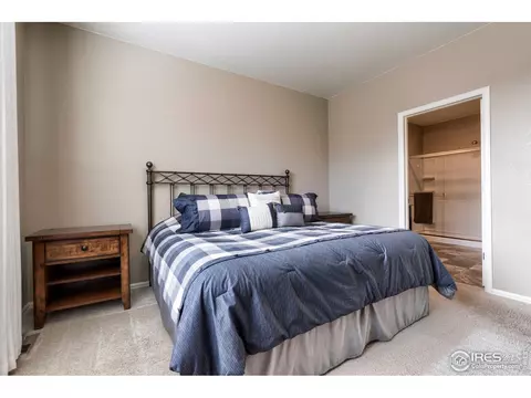 921 Charlton Dr, Windsor, CO 80550 photo 18
