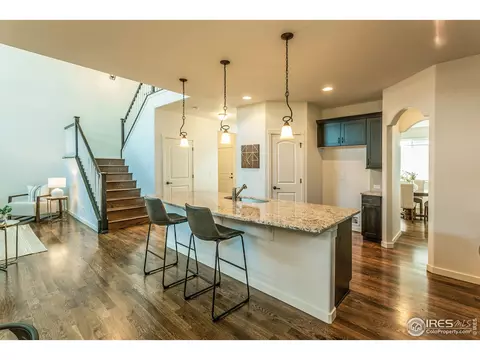 5399 Long Dr, Timnath, CO 80547 photo 13