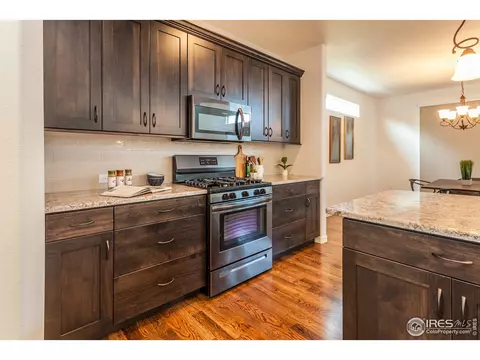 5399 Long Dr, Timnath, CO 80547 photo 8