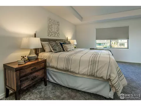 5399 Long Dr, Timnath, CO 80547 photo 19