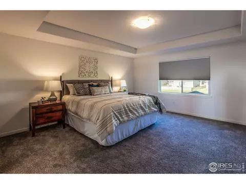 5399 Long Dr, Timnath, CO 80547 photo 18