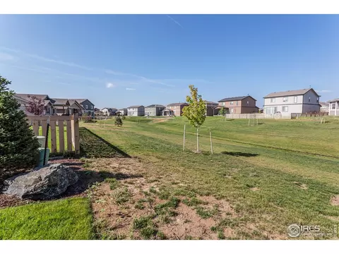 5399 Long Dr, Timnath, CO 80547 photo 33