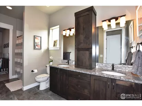 8253 Cherry Blossom Dr, Windsor, CO 80550 photo 23