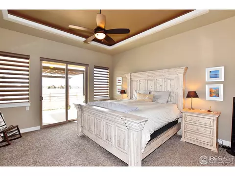 8253 Cherry Blossom Dr, Windsor, CO 80550 photo 14