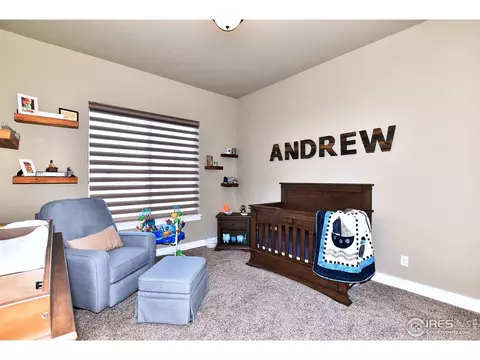 8253 Cherry Blossom Dr, Windsor, CO 80550 photo 24