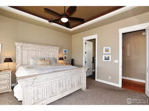 8253 Cherry Blossom Dr, Windsor, CO 80550 photo 15