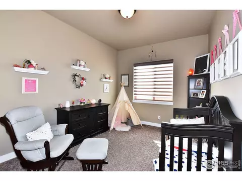 8253 Cherry Blossom Dr, Windsor, CO 80550 photo 22